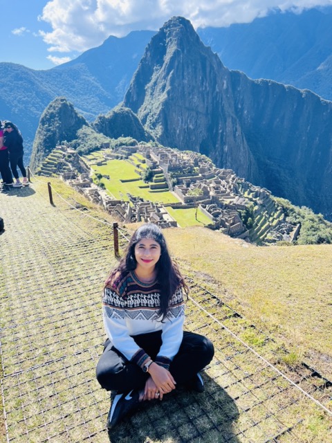 Machu Picchu