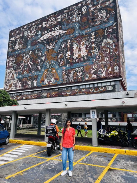 Mexicocity 8